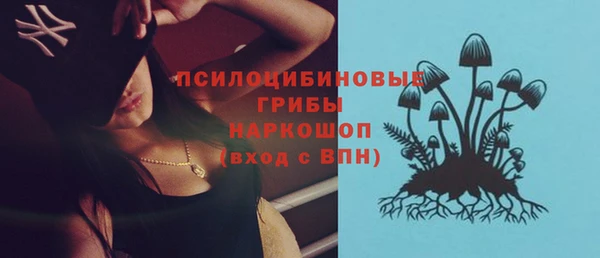 мдпв Володарск