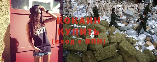 мдпв Володарск