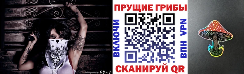 Псилоцибиновые грибы MAGIC MUSHROOMS  MEGA вход  Гай  где можно купить наркотик 